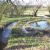 Law Brook, Surrey