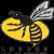 London Wasps