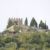 Buildings and structures in Lamego