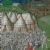 14th-century executions by England
