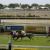 Sports venues in Brisbane