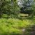 Wimbledon Common