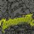 Metalcore albums by New Zealand artists