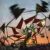 Festivals established in 1816