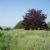 Hill forts in England