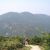 Violet Hill (Hong Kong)