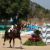 Brazilian male equestrians