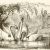 Individual waterfowl