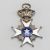 Knights of the Order of the Polar Star