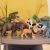 Toy companies established in 1935