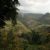 Lincang City