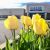 Shopping malls in Maine