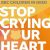 Stop Crying Your Heart Out (BBC Radio 2 Allstars)