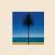 Because Music albums