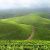 Taraba State