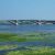Categories by river