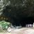 Caves of Zhejiang