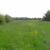 Nature reserves in Ealing