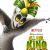 MPAA Rating: Spain:A