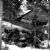 Aviation accidents and incidents in 1961