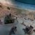 Afghan war crimes