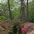 Nature reserves in Richmond upon Thames