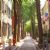 Arch Street
