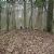Cattle mounds