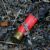 Hunting accident deaths