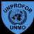 United Nations Protection Force