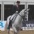 Danish male equestrians