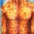 Asuravithu (novel)