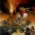 Aqua Teen Hunger Force films
