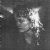 Liane Davidson