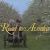 1990 Canadian television series debuts