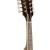 Mandolin