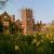 George Webster buildings