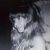 Judy Huddleston