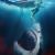 The Requin