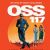OSS 117: Cairo, Nest of Spies