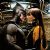 Patrick Wilson and Malin Akerman
