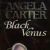 Black Venus (short story collection)