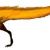 1989 in paleontology