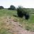 Fortifications in Wales