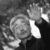 Tak Fujimoto