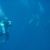 Decompression (diving)