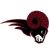 American football teams in Istanbul