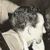 Lou Breslow