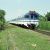 Regional rail in Indonesia