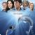 Dolphin Tale